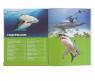 Энциклопедия для детей "Подводный мир" - Акулы, киты, дельфины