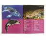 Энциклопедия для детей "Подводный мир" - Акулы, киты, дельфины