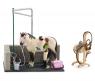 Игровой набор "Животные с фермы" - Мойка лошадей