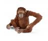 Фигурка "Дикая жизнь" - Самка орангутана, 8 см