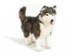 Мягкая игрушка "Собака породы Сибирский Хаски" - стоящая, 40 см