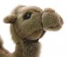 Мягкая игрушка "Одногорбый верблюд", 22 см