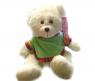 Мягкая игрушка "Медведь в зеленой футболке", 37 см