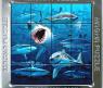 Магнитный 3D-пазл "Акулы", 16 элементов