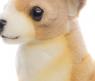 Мягкая игрушка "Собака чихуахуа", 31 см