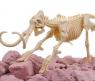 Набор юного археолога KidzLabs - Откопай скелет мамонта