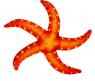 Мягкая игрушка "Морской мир" - Морская звезда, оранжевая, 44 см