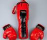 Набор для бокса и карате X-match "Груша и боксерские перчатки"