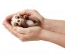 Интерактивный ручной ленивец Fingerlings - Кингсли