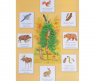 Учебный плакат "Кому нужны деревья в лесу"