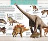 Книга "Динозавры" - Полная энциклопедия, Колсон Р.