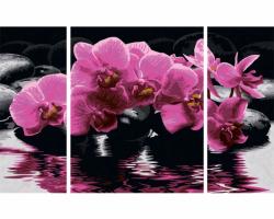 Картина-раскраска по номерам - триптих "Орхидеи", 50 х 80 см