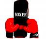Боксерский набор Boxer