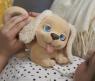 Интерактивный щенок Playful Goldie FurReal Friends