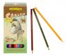 Цветные карандаши "Сафари", 24 шт.