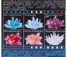 Набор для экспериментов "Удивительные кристаллы" - Мультицвет