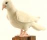 Мягкая игрушка "Белый голубь", 20 см