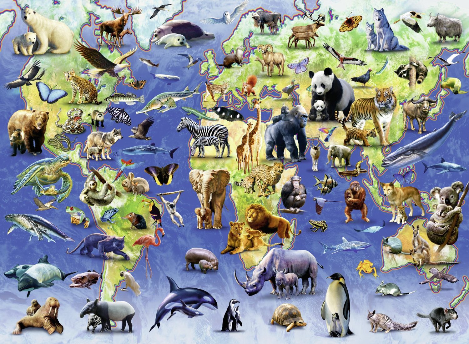 Каких животных человек. Животный мир земли. Карта животных. Животные разных материков. Животные по континентам для детей.