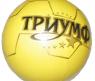 Лакированный мяч "Триумф", 20 см