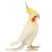 Мягкая игрушка "Австралийский попугай", 23 см