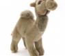 Мягкая игрушка "Одногорбый верблюд", 22 см