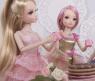 Кукла Sonya Rose "Daily Collection" - Чайная вечеринка, 27 см