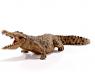 Фигурка Wild Life - Крокодил, длина 18 см