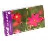 Набор обучающих карточек "Мир на ладошке 5" - На цветочной поляне