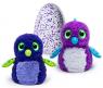 Интерактивная игрушка Hatchimals - Дракоша, синий / фиолетовый