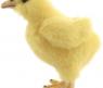 Мягкая игрушка "Цыпленок", желтый, 13 см