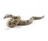 Фигурка змеи Wild Life - Удав, длина 12.6 см
