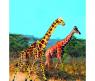 Сборная деревянная модель "Жираф", серия М, цветная
