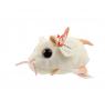 Мягкая игрушка Teeny Tys - Мышка Анна, белая, 10 см