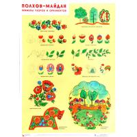Обучающий плакат "Полхов-Майдан" - Примеры узоров и орнаментов
