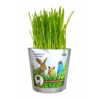 Набор для выращивания "Зоо-трава" - Универсальная трава для животных