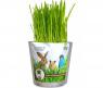 Набор для выращивания "Зоо-трава" - Универсальная трава для животных