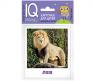 Набор обучающих карточек "IQ малыш" - Животные жарких стран