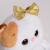 Мягкая игрушка "Кошечка Ли-Ли с елочкой", 24 см