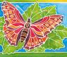 Набор для рисования акварелью «Бабочка», 12 х 8.5 см