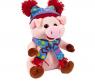 Мягкая игрушка "Свинка в голубой шапочке и шарфе с помпонами", 17 см