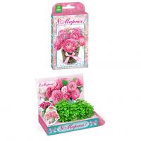 Подарочный набор для выращивания "8 марта" - Букет роз