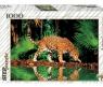 Пазл Animal Collection - Леопард у воды, 1000 деталей