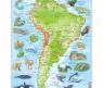 Пазл "Животные Южной Америки", 65 элементов