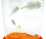 Набор для выращивания креветок Sea-Monkeys: Artemia Salina, оранжевый