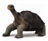 Фигурка "Абингдонская слоновая черепаха", длина 15 см