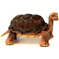 Мягкая игрушка "Галапагосская черепаха", 30 см