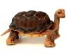 Мягкая игрушка "Галапагосская черепаха", 30 см