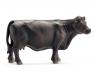 Фигурка Farm World - Корова породы абердин-агнус, черная, длина 12 см