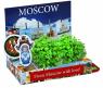 Набор для выращивания "Туристические сувениры" - Фото Москвы