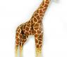 Мягкая игрушка "Жираф", 64 см